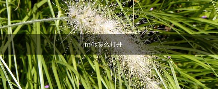 m4s怎么打开,第1张