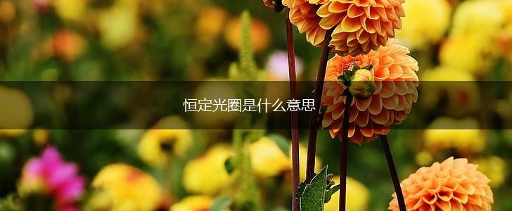 恒定光圈是什么意思,第1张