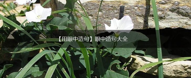 【用眼中造句】眼中造句大全,第1张