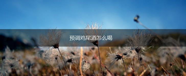 预调鸡尾酒怎么喝,第1张