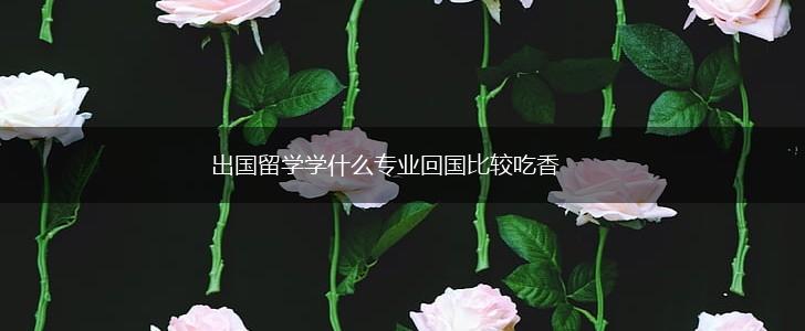 出国留学学什么专业回国比较吃香,第1张