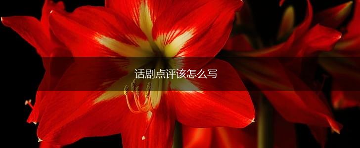 话剧点评该怎么写,第1张