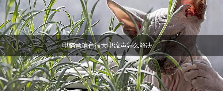 电脑音箱有很大电流声怎么解决,第1张