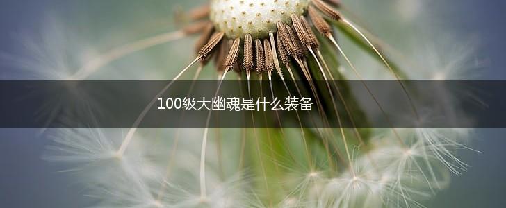 100级大幽魂是什么装备,第1张
