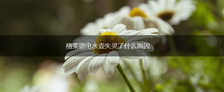 格莱德电水壶失灵了什么原因,第1张 格莱德电水壶失灵了什么原因,第1张