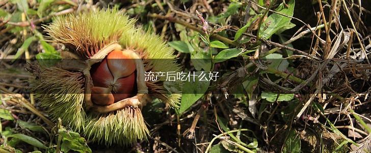 流产后吃什么好,第1张