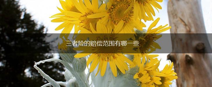 三者险的赔偿范围有哪一些,第1张 三者险的赔偿范围有哪一些,第1张