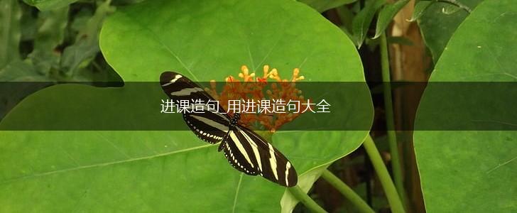 进课造句_用进课造句大全,第1张