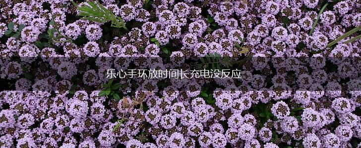 乐心手环放时间长充电没反应,第1张