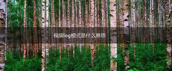 视频log模式是什么意思,第1张
