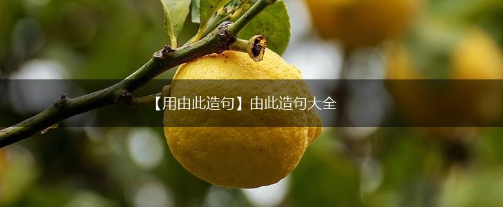 【用由此造句】由此造句大全,第1张