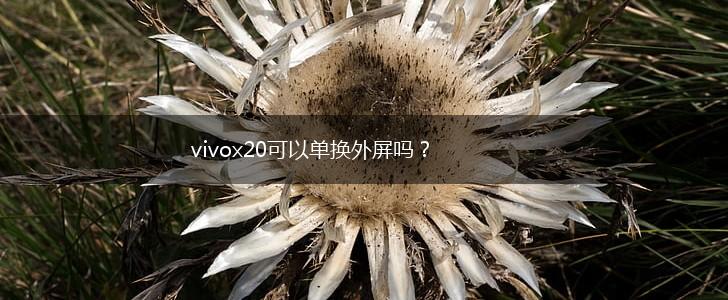 vivox20可以单换外屏吗？,第1张