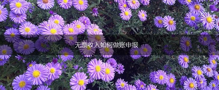 无票收入如何做账申报,第1张
