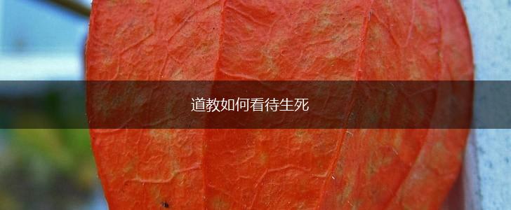道教如何看待生死,第1张