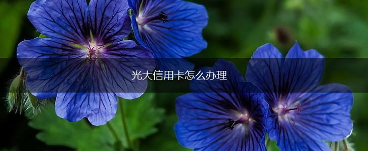光大信用卡怎么办理,第1张