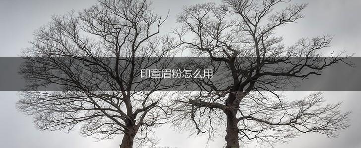 印章眉粉怎么用,第1张