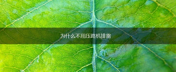 为什么不用压路机排雷,第1张