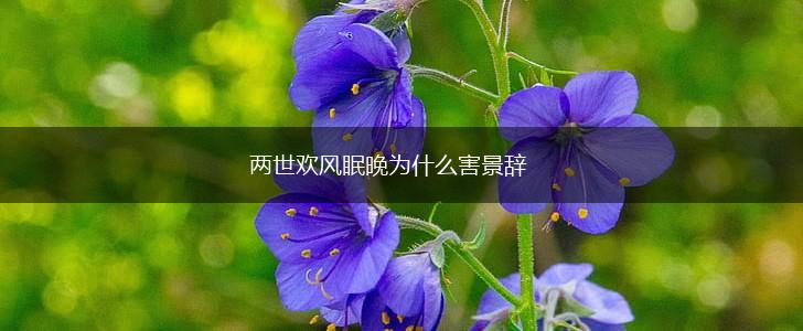 两世欢风眠晚为什么害景辞,第1张