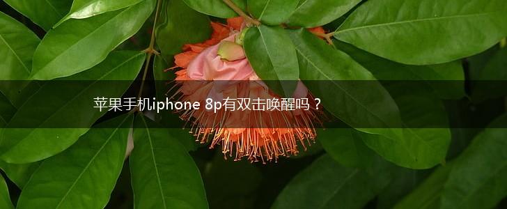 苹果手机iphone 8p有双击唤醒吗？,第1张