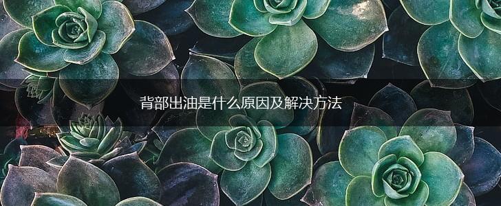 背部出油是什么原因及解决方法,第1张