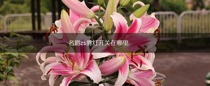 名爵zs雾灯开关在哪里,第1张