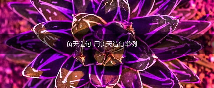 负天造句_用负天造句举例,第1张