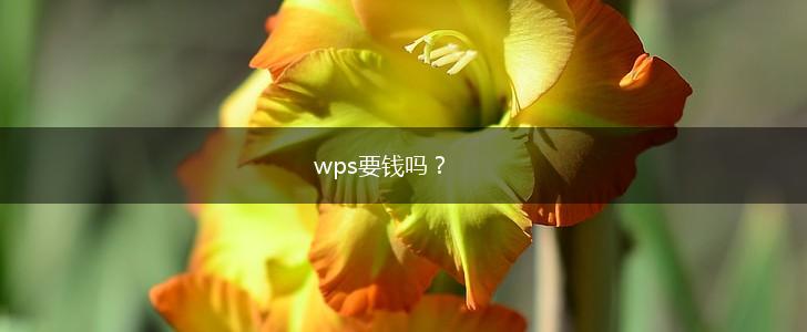 wps要钱吗？,第1张