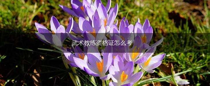 武术教练资格证怎么考,第1张