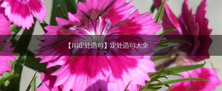 【用定处造句】定处造句大全,第1张
