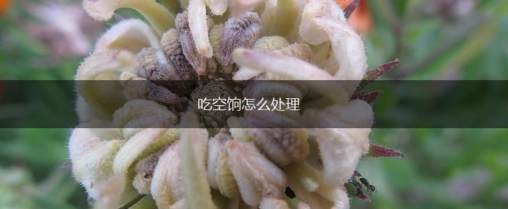 吃空饷怎么处理,第1张