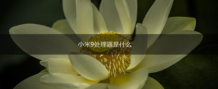 小米9处理器是什么,第1张