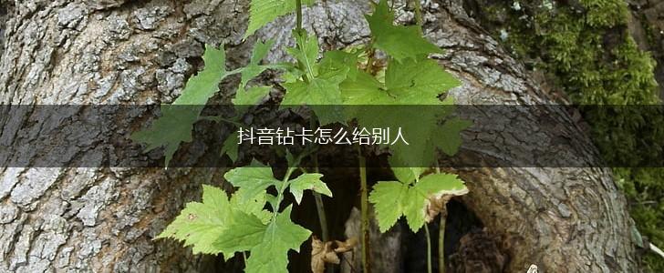 抖音钻卡怎么给别人,第1张