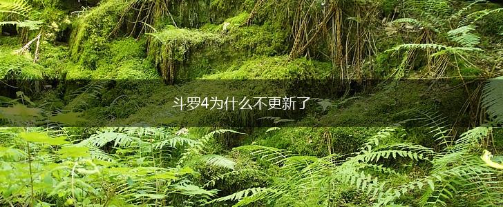 斗罗4为什么不更新了,第1张