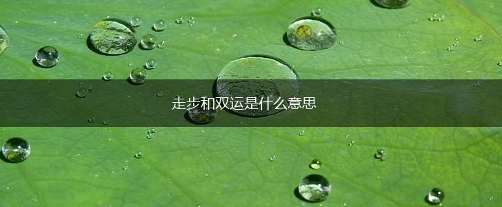 走步和双运是什么意思,第1张