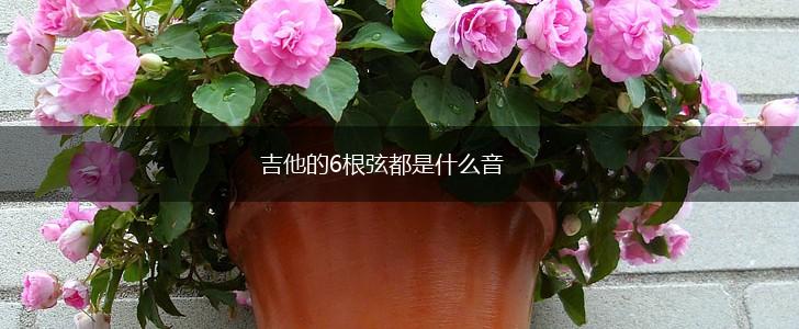 吉他的6根弦都是什么音,第1张