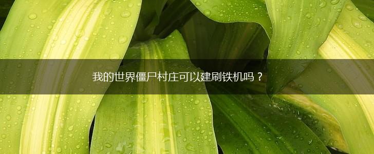 我的世界僵尸村庄可以建刷铁机吗？,第1张