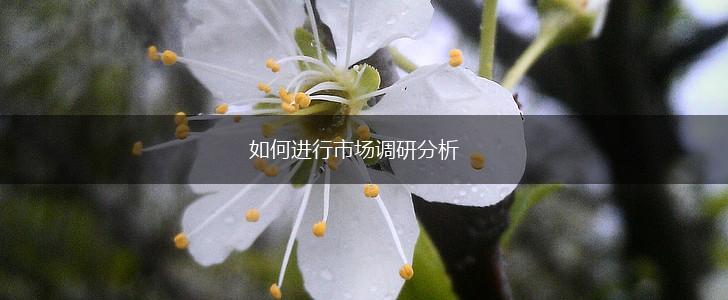 如何进行市场调研分析,第1张