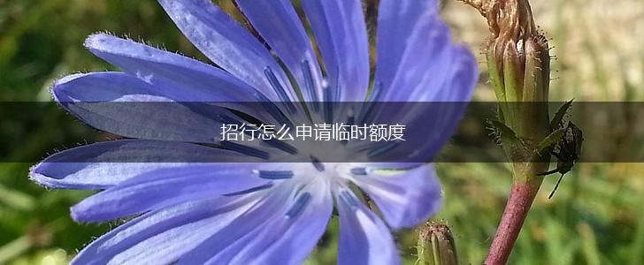 招行怎么申请临时额度,第1张