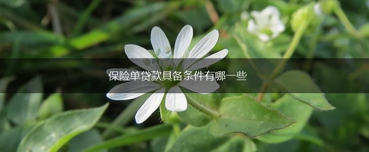 保险单贷款具备条件有哪一些,第1张