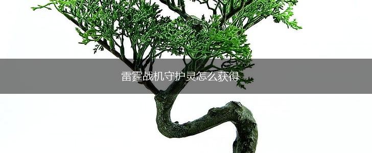 雷霆战机守护灵怎么获得,第1张