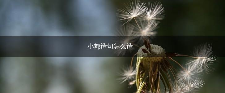 小都造句怎么造,第1张