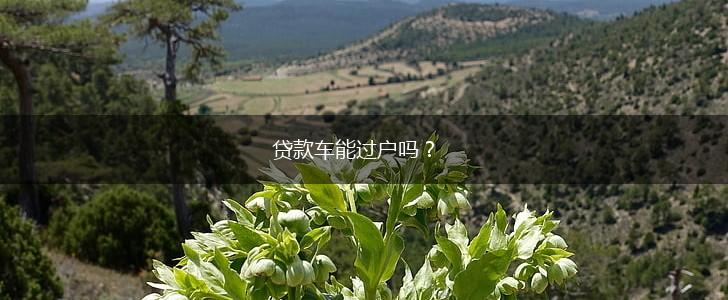 贷款车能过户吗？,第1张