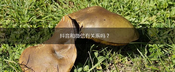抖音和微信有关系吗？,第1张