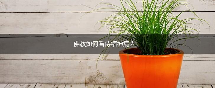 佛教如何看待精神病人,第1张