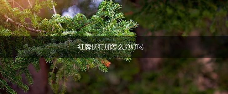 红牌伏特加怎么兑好喝,第1张