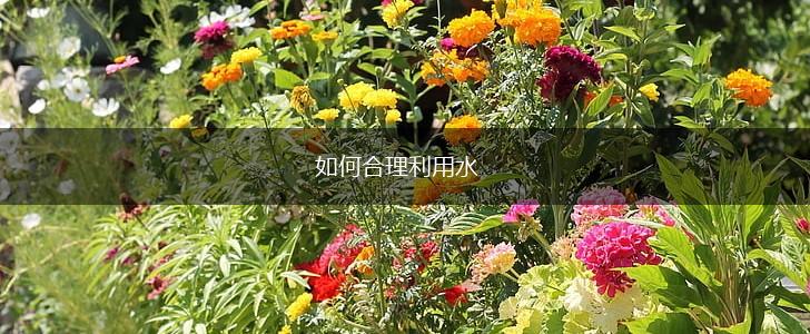 如何合理利用水,第1张