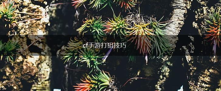 cf手游打狙技巧,第1张