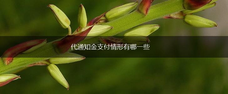 代通知金支付情形有哪一些,第1张