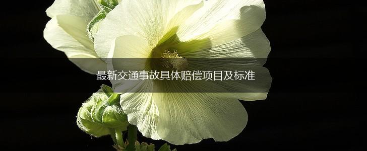 最新交通事故具体赔偿项目及标准,第1张