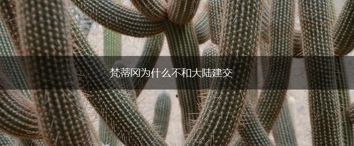 梵蒂冈为什么不和大陆建交,第1张
